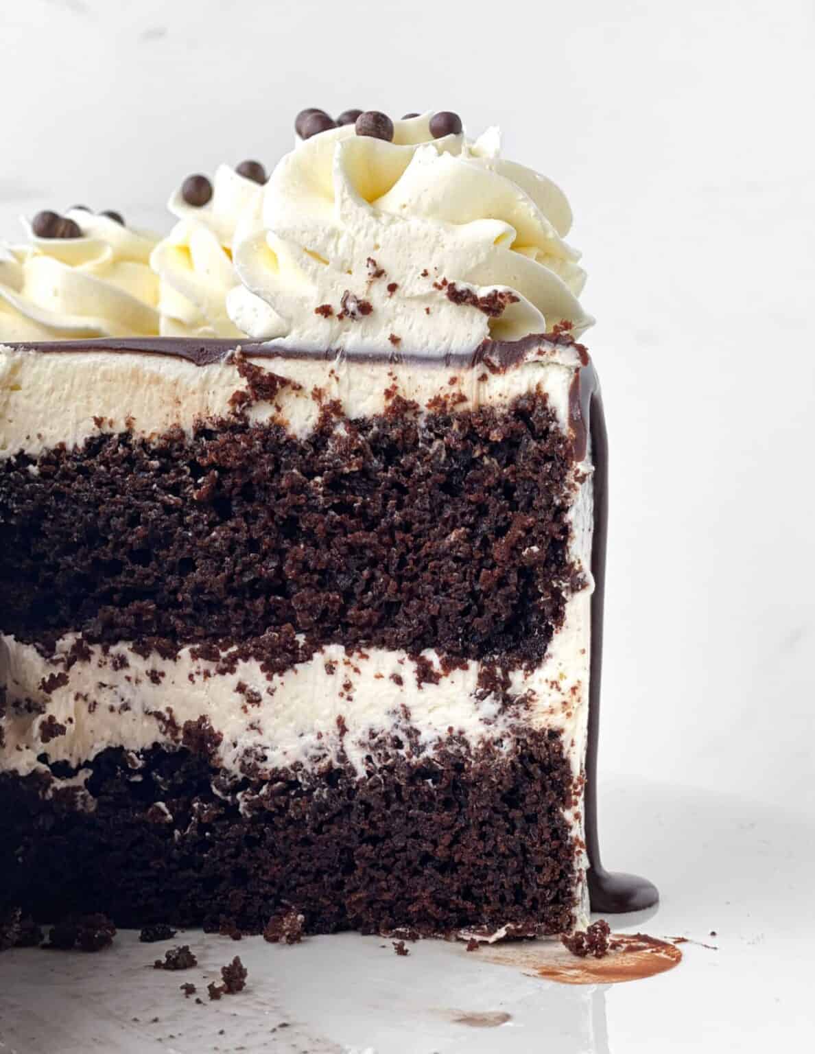 Chocolate Champagne Cake - Live to Sweet