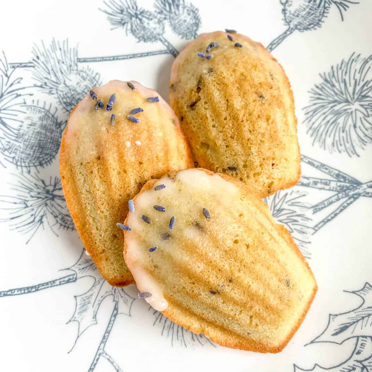 Closeup of three Lemon Lavender Madeleines on a plate.