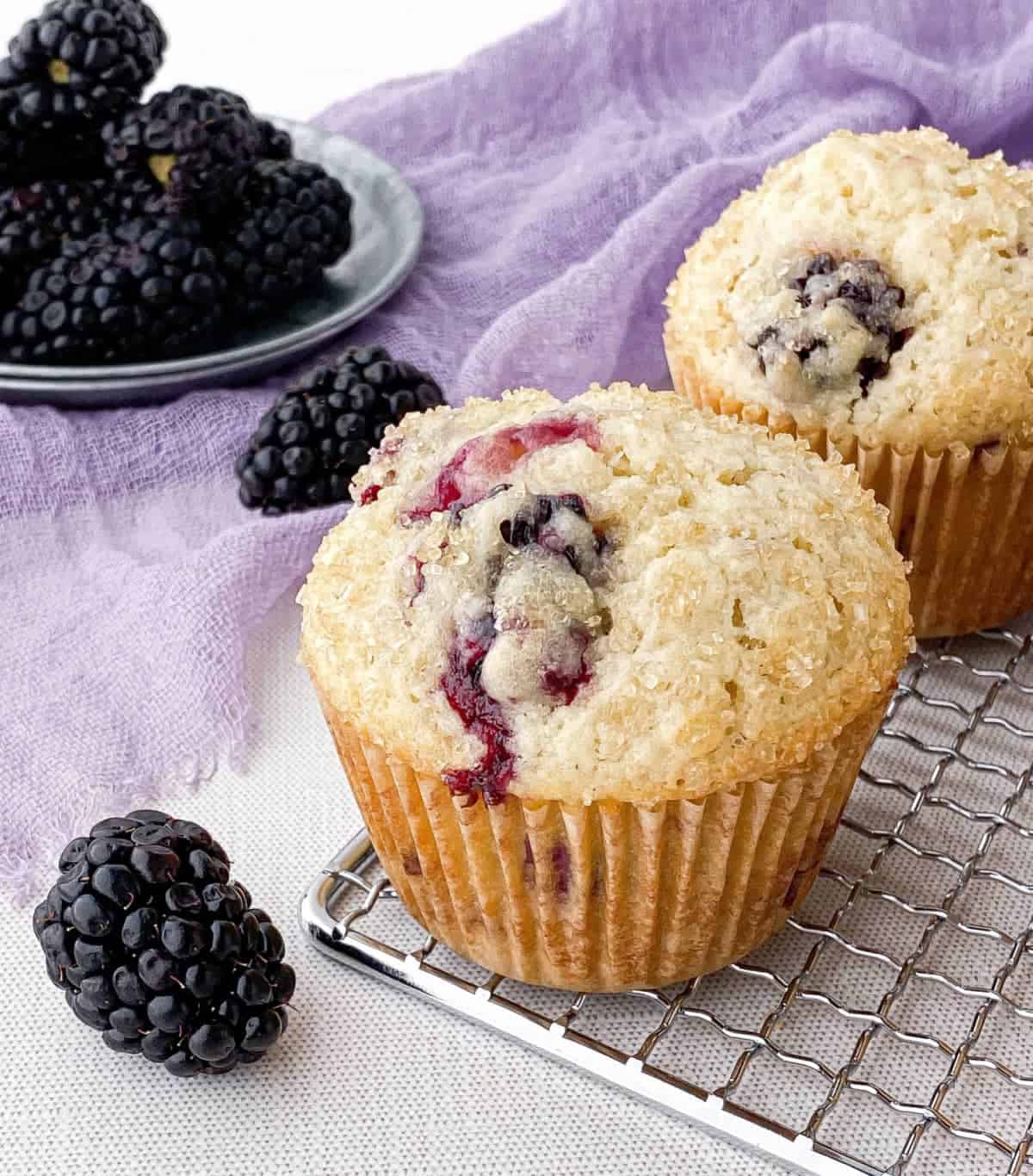 Closeup of Blackberry Buttermilk Muffin with fresh blackberries nearby.