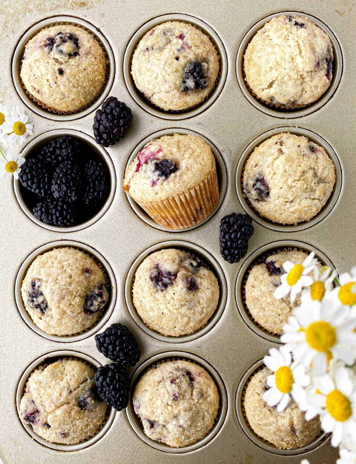 Top view of Blackberry Buttermilk Muffins in muffin tin.