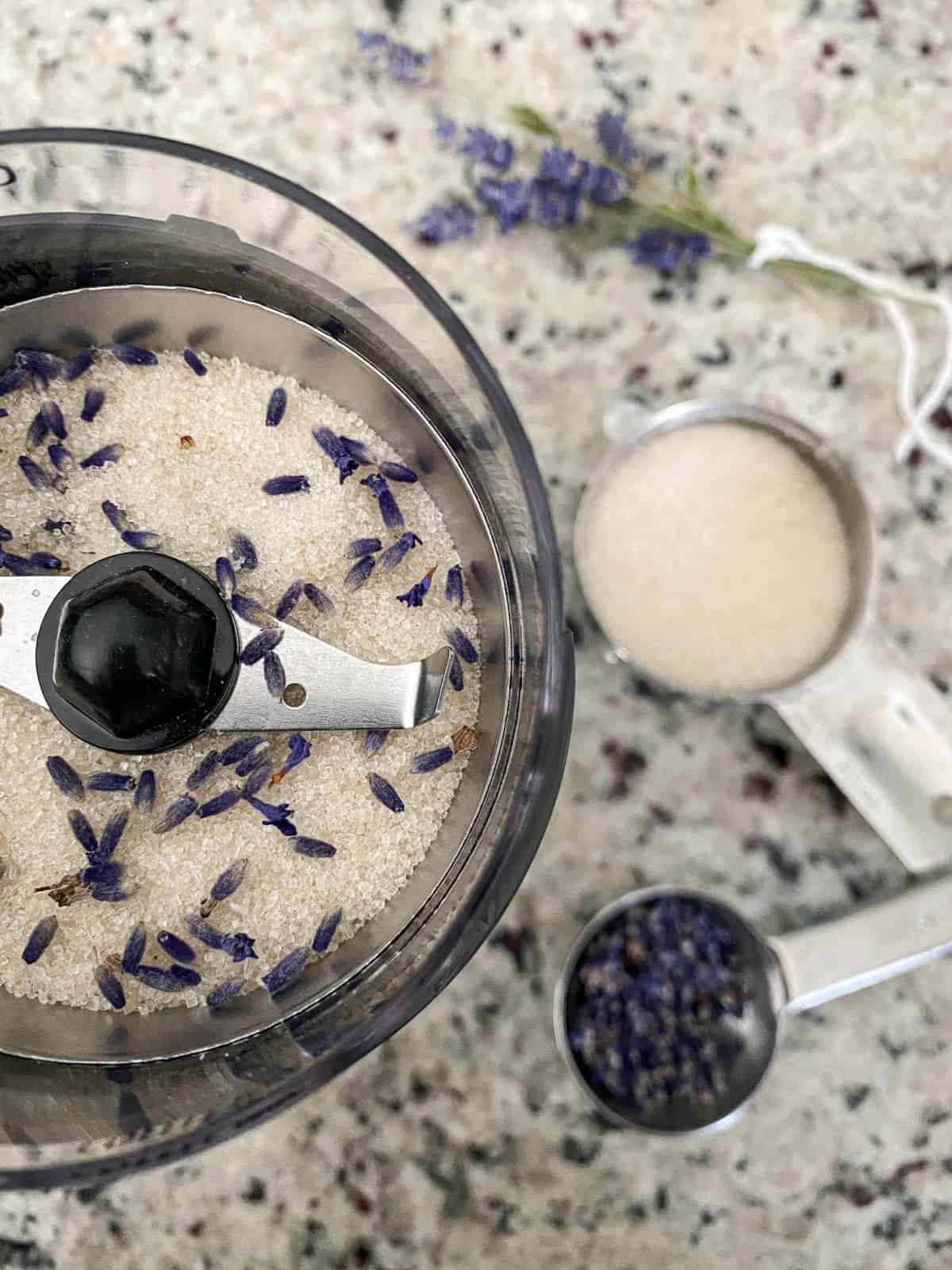 Making Lavender Sugar with dried lavender, step 1.