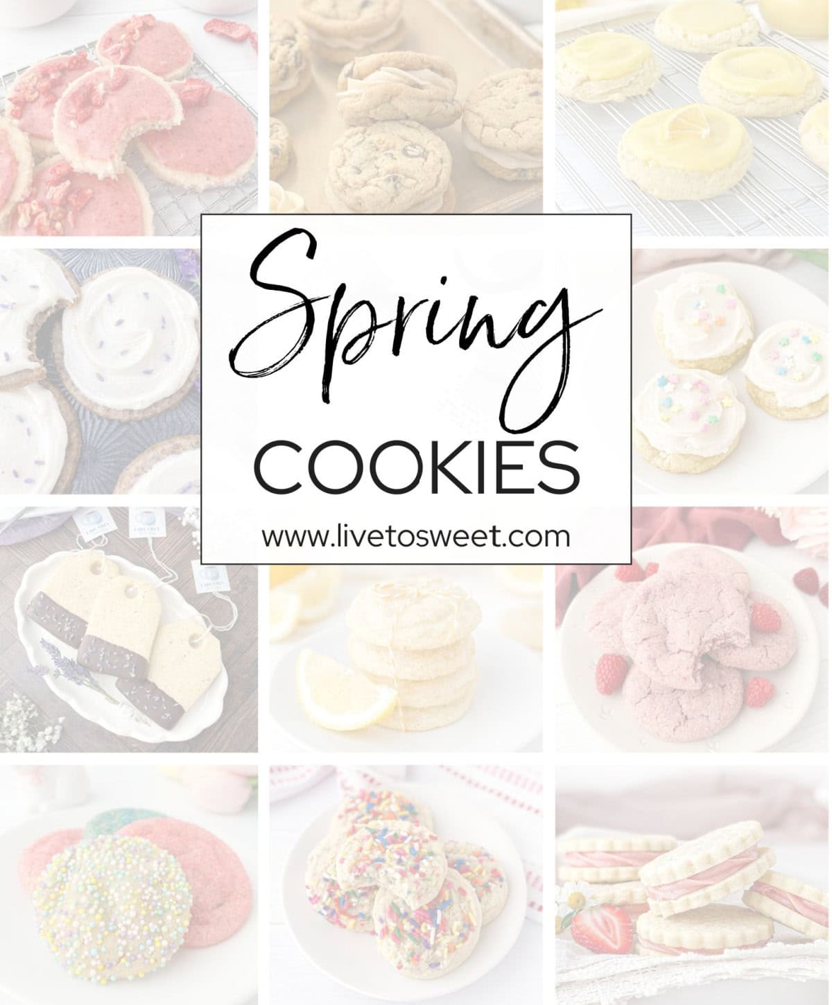 Collage of Spring Cookies.