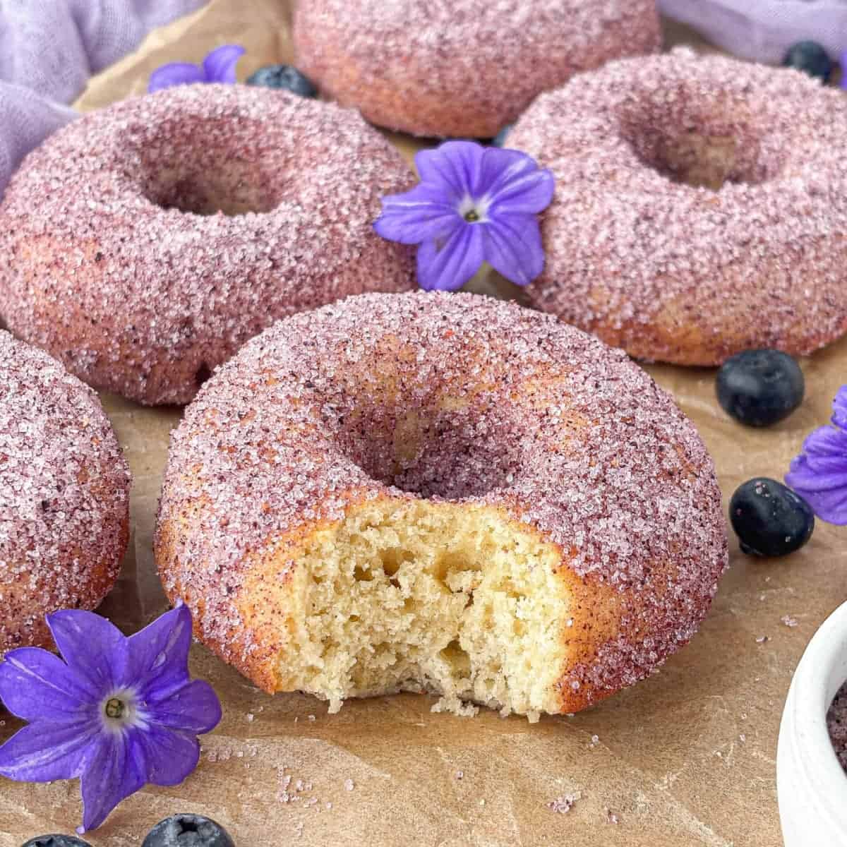 Blueberry Sugar Donuts on parchment paper with purple flowers and fresh blueberries.