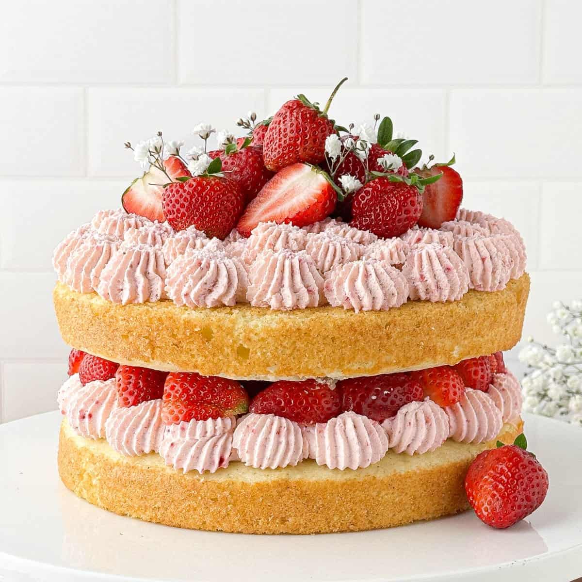 Strawberry Whipped Cream Cake on a white plate topped with fresh strawberries.