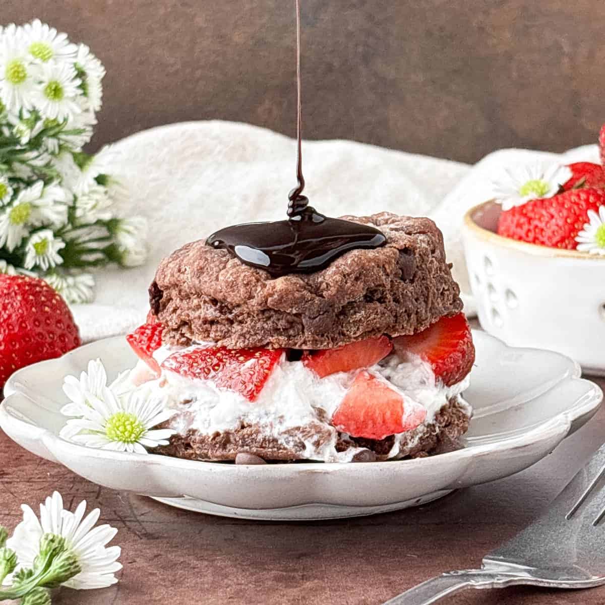 Close up shot of chocolate sauce being drizzled onto Chocolate Strawberry Shortcake on a white fluted plate with two small white flowers alongside.