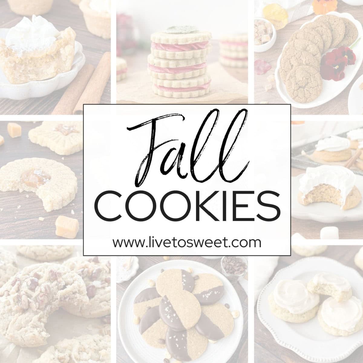 15+ Summer Cookies - Live to Sweet